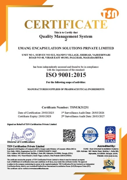 ISO Certificate